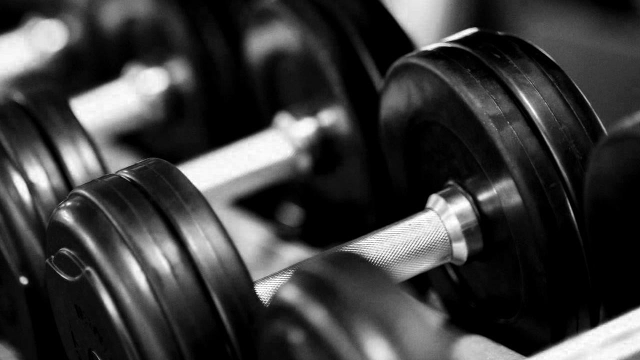 Gym & Training